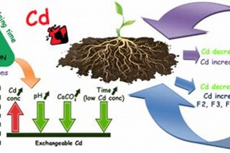 谁知道镉污染的污染来源是什么？