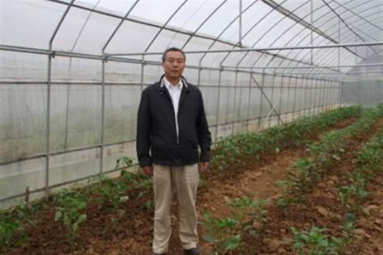 河南九龙农业科技有限公司怎么样？