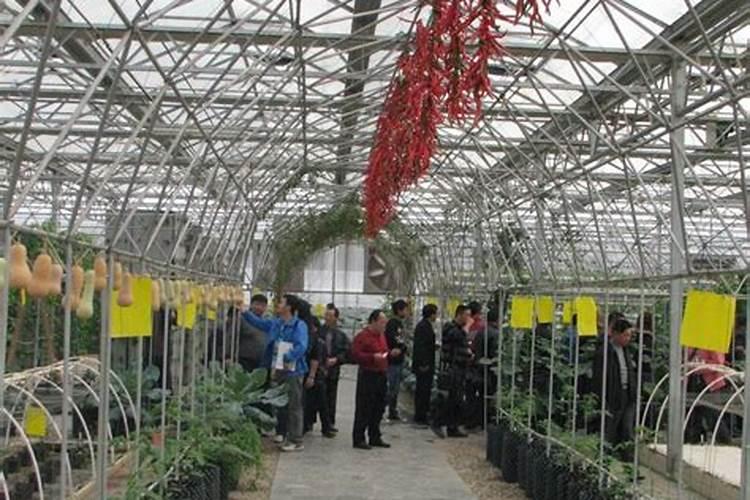 九龙县经济概况