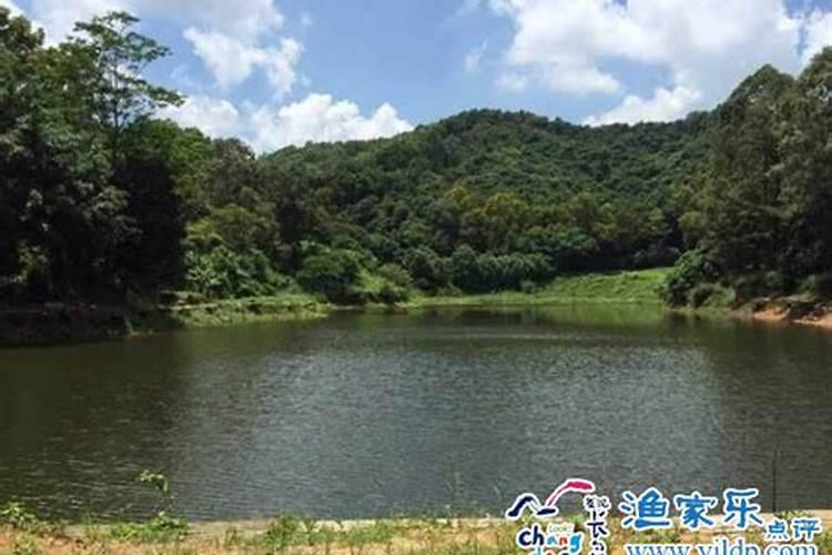 湖南九龙科技农业股份有限公司怎么样？