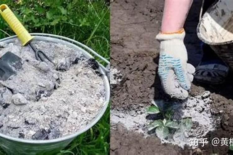 氮肥为什么不能和草木灰一起用