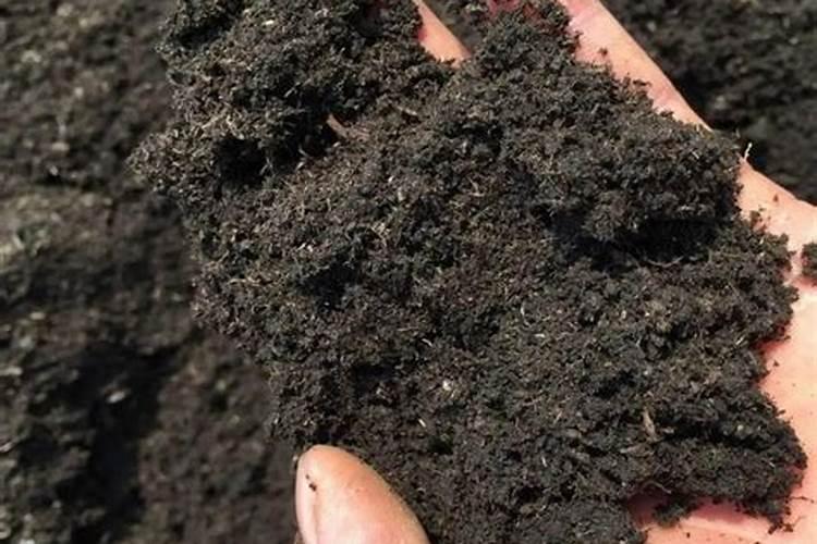 腐植酸的基本信息