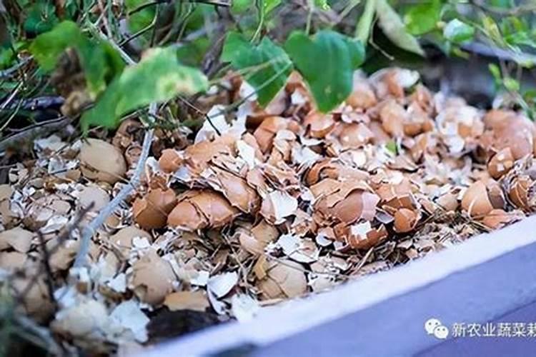 哪些花草适用硫酸亚铁肥料