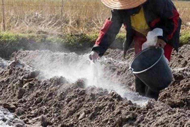 什么碱可以做肥料