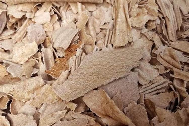 板栗树追什么肥最好