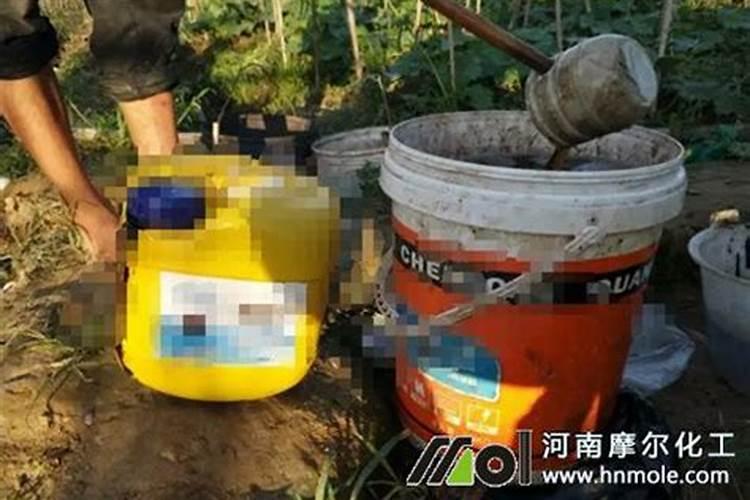 水溶肥的正确使用方法