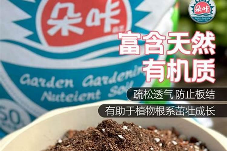 养兰花什么土好？