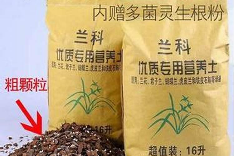 兰花专用肥哪个最佳兰花用什么叶面肥最好