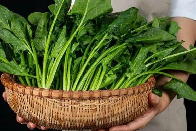 柑橘果树补钙的最佳时期是什么时候？该如何进行补钙？