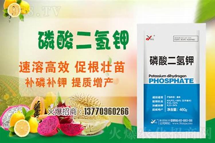 常见的氮肥、磷肥、钾肥、复合肥有哪些……