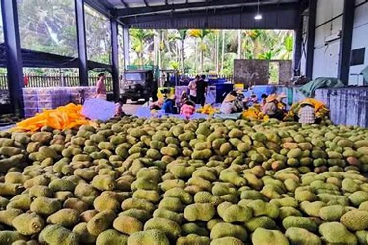 叶面肥多少钱一袋