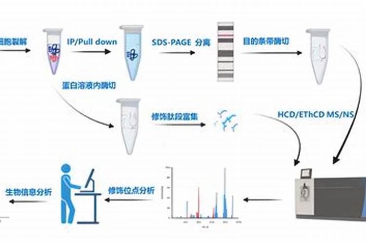 鱼胶原蛋白粉维c维e粉,怎么辨别真假？