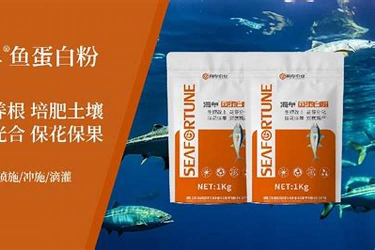 鱼蛋白肥料为何禁止