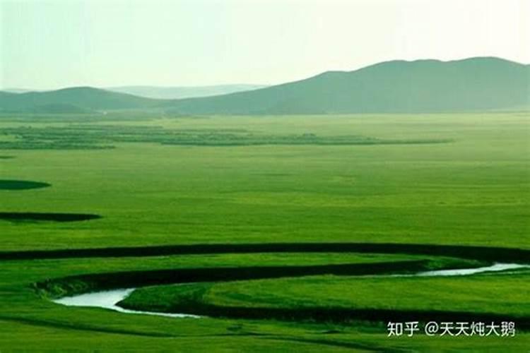 甘肃沙土地种枸杞上什么化肥？