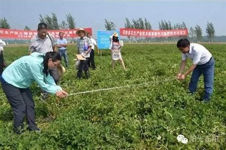 河南省驻马店市正阳县的特产