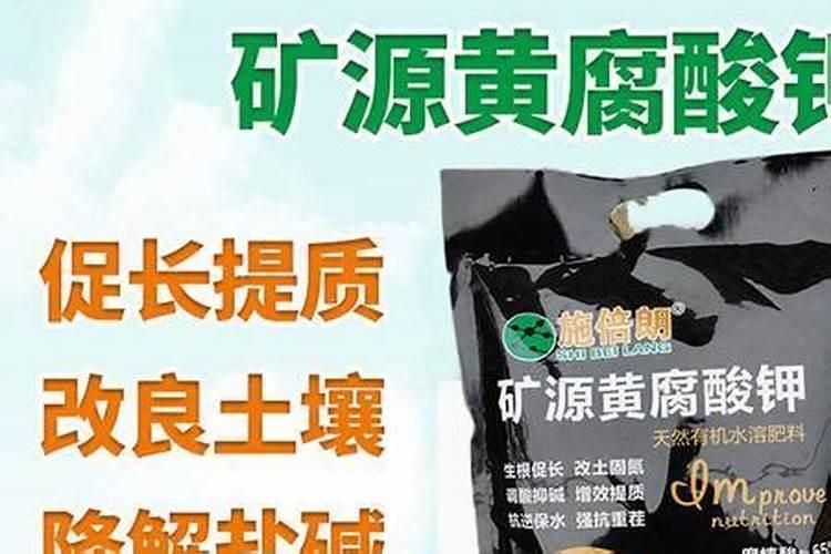 一棵槟榔用多少矿源腐酸钾