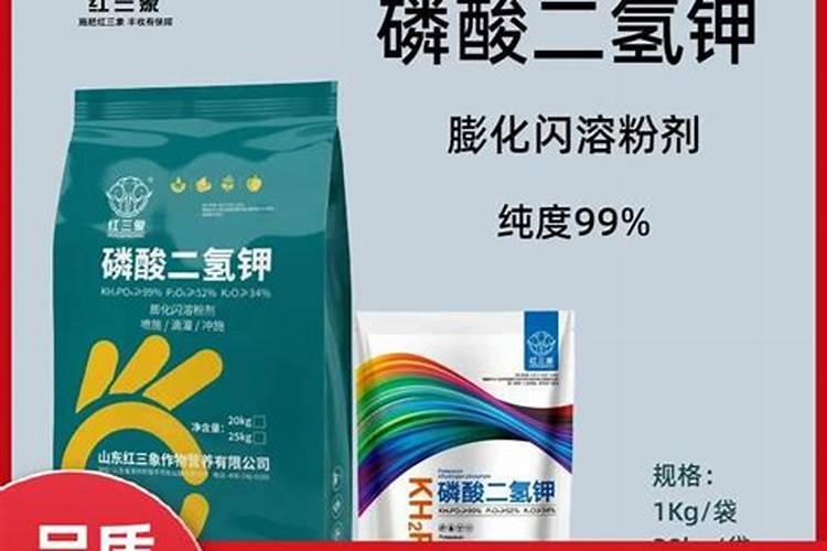 牡丹花可以喷水吗