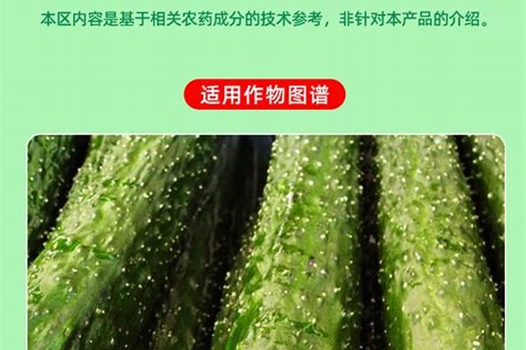 芸苔素使用技巧