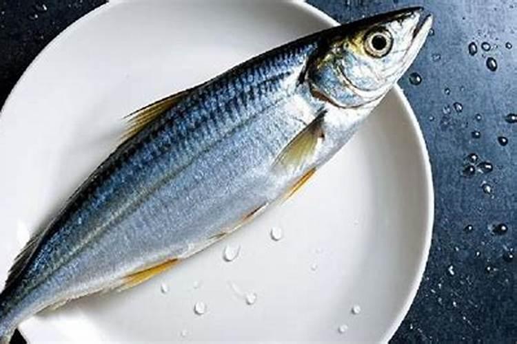 鱼蛋白肥料的使用技巧