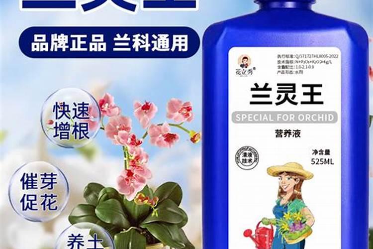 兰花用什么肥料好？
