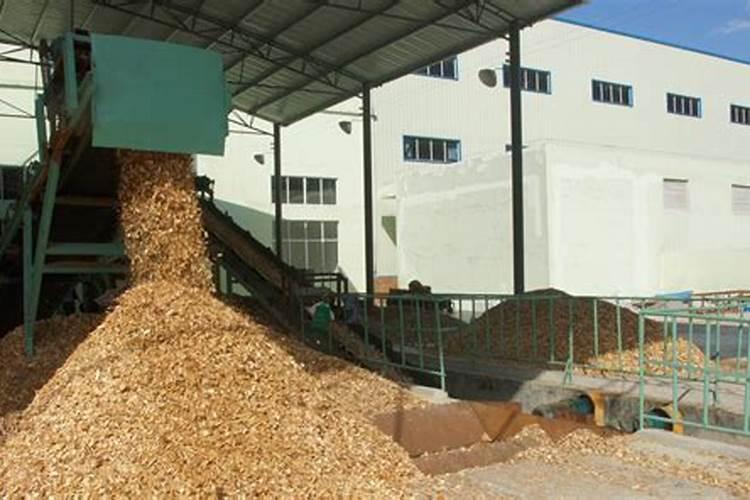 腐烂的木头能不能当花肥