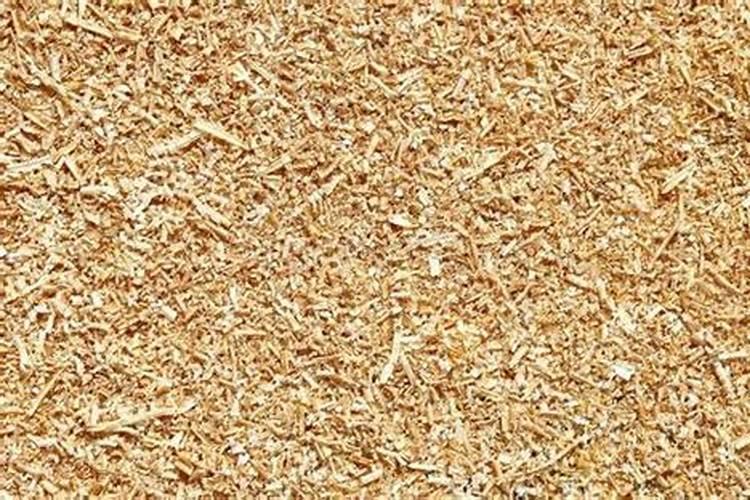 木材的锯末能当农作物肥料吗 木屑怎么加工发酵成有机肥