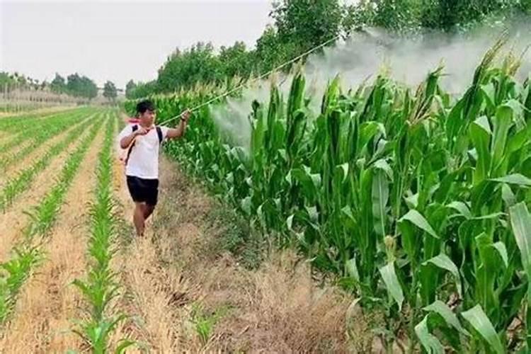 大量元素水溶肥能和高效氟吡甲禾灵混用吗