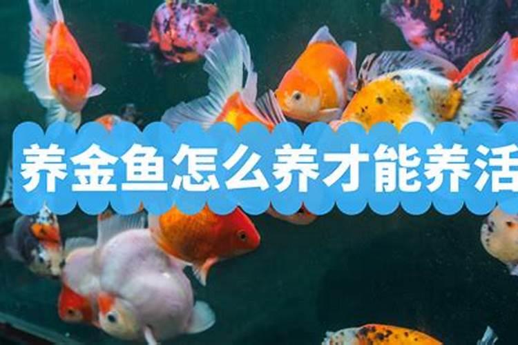 鱼蛋白肥料能与杀菌剂合用吗？