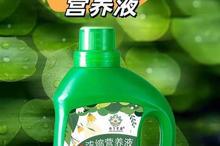 因艾氏叶面肥正确使用方法