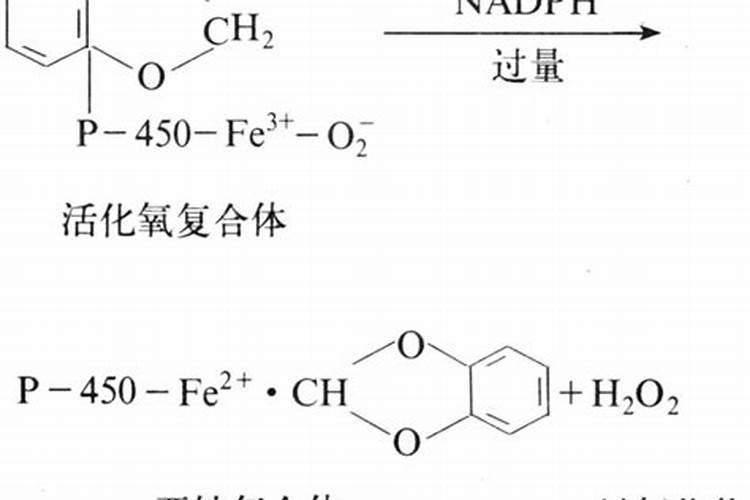 肥料增效剂一般有哪些