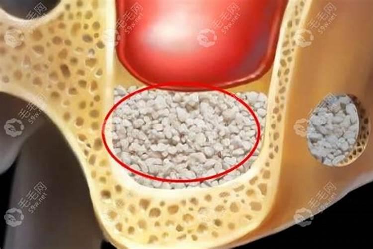 骨粉肥料适宜什么花栽种？