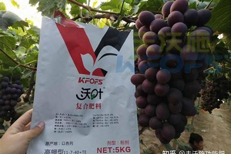 进口的水溶肥和国产的有啥区别？