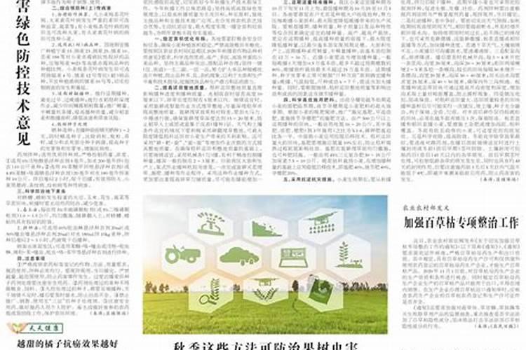 小麦追肥用什么肥料好