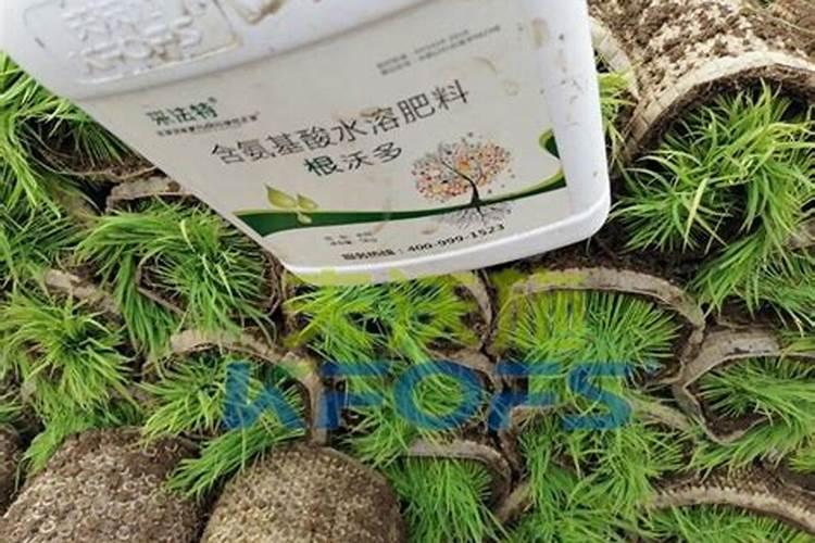 美盛黄腐酸锌水溶肥在水稻上怎么用