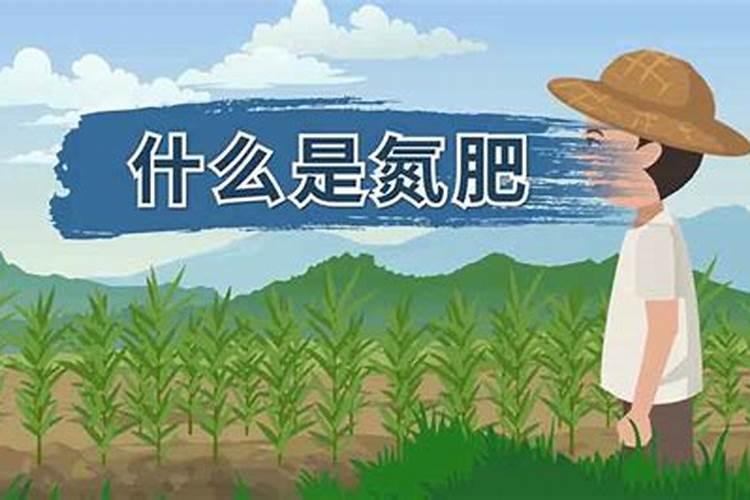 铵态氮肥和氮肥有什么区