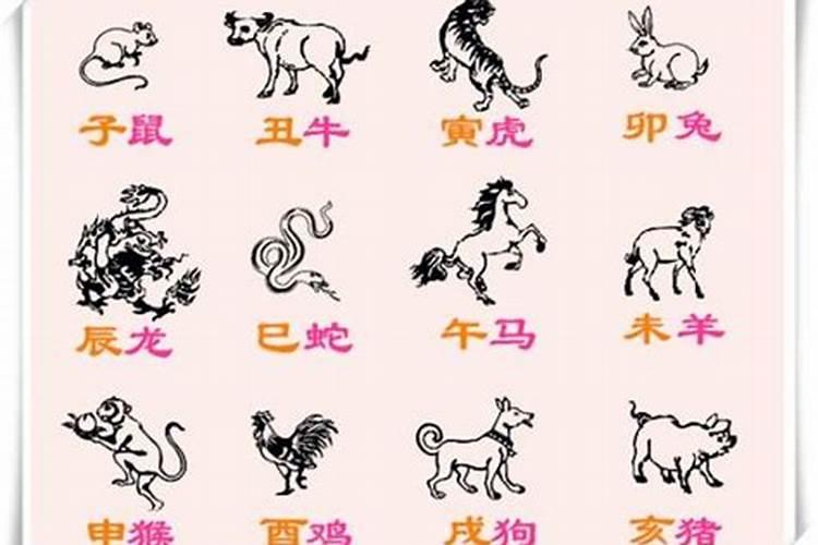 金木水火土相生相克表五行生肖,十二生肖金木水火土怎样分