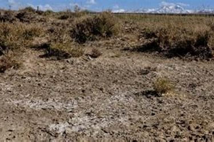 锅炉水处理方法的选择要根据水质情况选定,当地下水用于工业锅炉时,应...