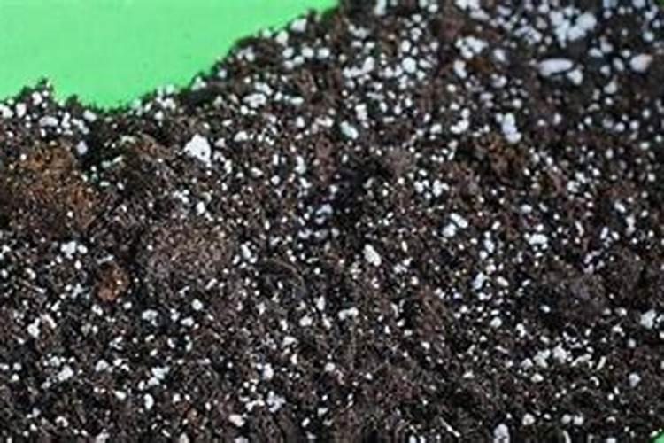 自制氮肥最简单的方法