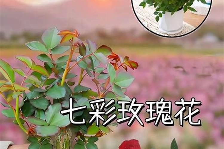 安慰人生病的温暖话