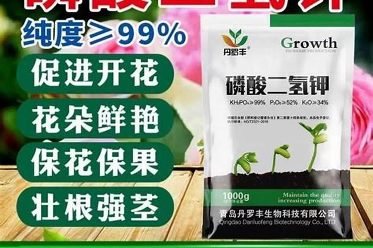 钾肥怎么使用效果最佳