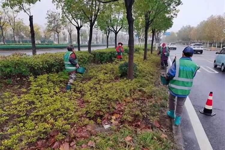 绿化养护12月如何施肥 一起来学习一下