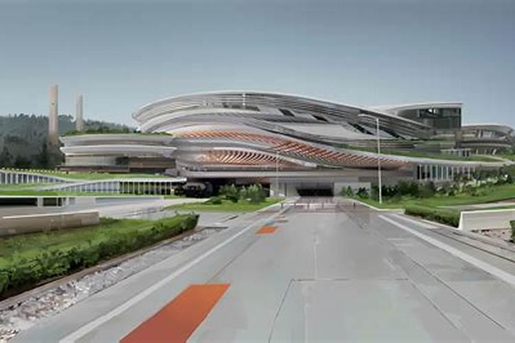 金银花用不用掐心怎么养才能开花