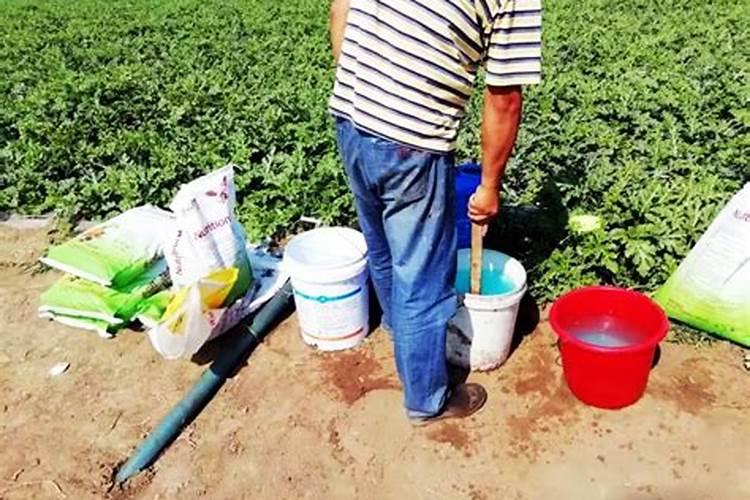 水溶肥料怎么使用