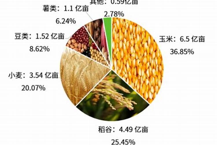 玉米水稻小麦叶面肥该如何选择呢？选择什么样的叶面肥才最有效