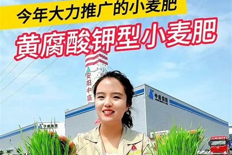 黄腐酸钾用得好能减少“2成”化肥量,矿源黄腐酸钾的作用于方法