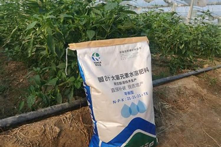 复合肥能溶解水中冲施吗