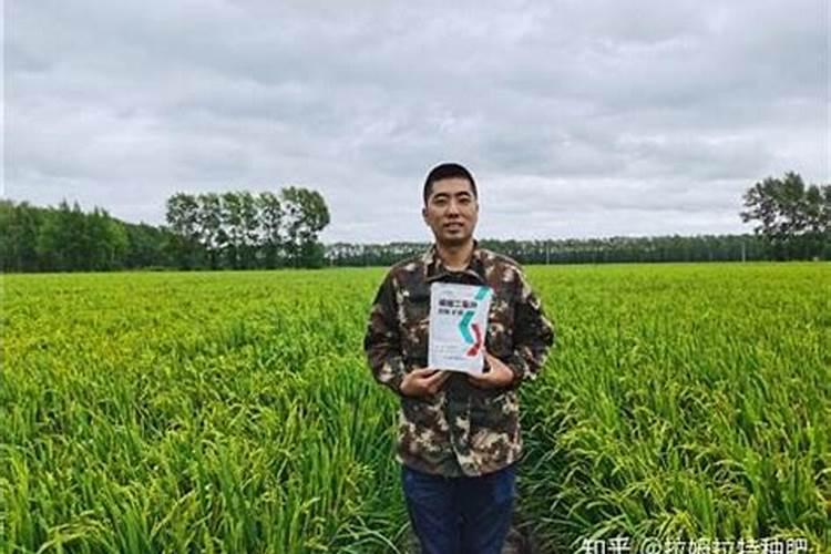 刚刚移栽的樱桃树可以使用叶面肥吗？怎样使用？