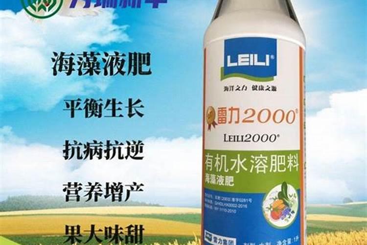 无花果树施什么肥合适