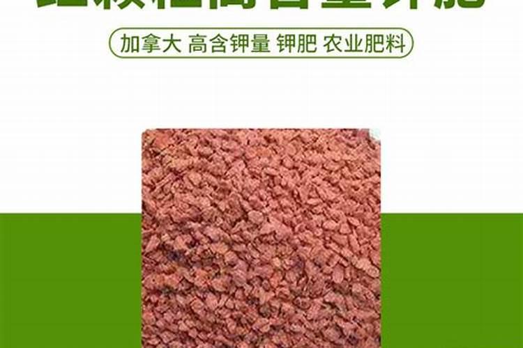 玉米底肥用红颗粒钾肥好还是用白色小颗粒水溶钾肥好？