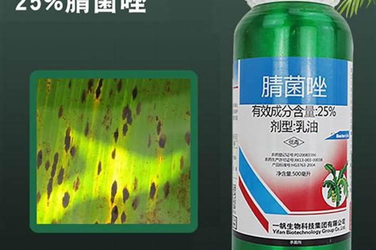 花冲施了生物菌肥在叶面还能喷杀菌剂吗